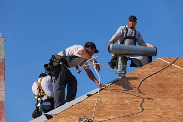 Best Commercial Roofing Services  in Ellitt, CO