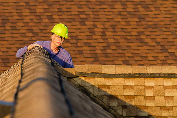 Best Roof Replacement Cost  in Ellitt, CO