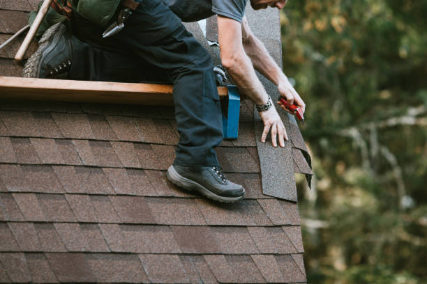 Best Roof Maintenance Services  in Ellitt, CO